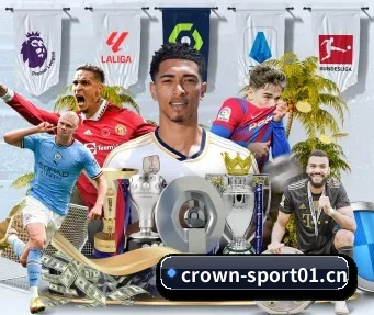 crown体育sport01 APP